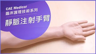 CAE Medicor 靜脈注射手臂模型 IV arm  | 靜脈注射訓練 材質擬真耐用 皮膚血管耗材更換輕鬆簡單