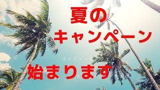 夏のキャンペーン始まりました！