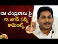 YS Jagan Funny Comments On CM Chandrababu | YCP Vs TDP | AP Politics | YSRCP | AP News | Mango News