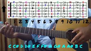 Strings | Frets | Notes | Guitar Lesson-1