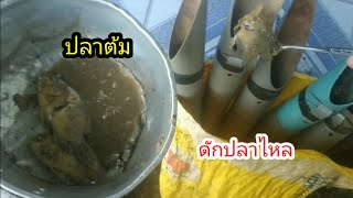 ดักปลาไหล ในรอบหลายเดือน ผลที่ได้เกินคาด