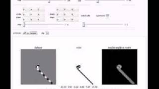 Dynamic Step Distance Transforms