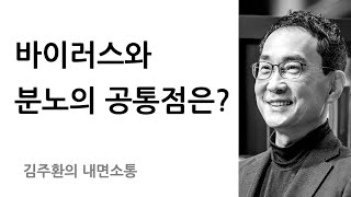 능동적 정보와 생성질서