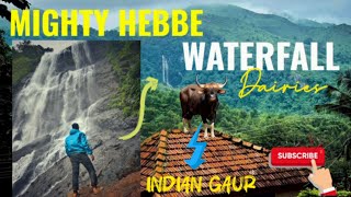 Epic One-Day Adventure to the Mighty Hebbe Waterfall Thrilling Off-Road Ride \u0026 Indian Gaur Encounter