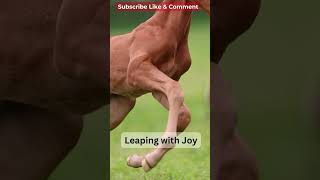 Adorable Baby Horse Leaping with Joy in the Green Fields with Mom | Species Hub #horse #foal