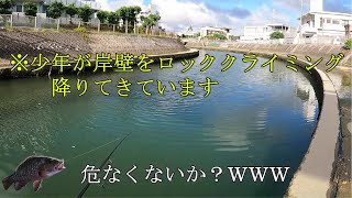 カニで大物連発【釣れるにはきっと訳がある】へち釣り落とし込み釣り方法(沖縄)