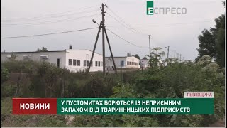 У Пустомитах борються із неприємним запахом від тваринницьких підприємств