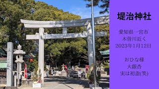 堤治神社～愛知県一宮市 木曽川近く～2023年1月12日 おひな様・大銀杏・実は初詣(笑)