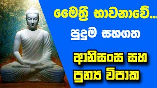 මෛත්‍රී භාවනාව කරන අයට ...ලැබෙන ආනිසංස සහ පුන්‍ය විපාක | Maithree bhawanawa | meditation videos