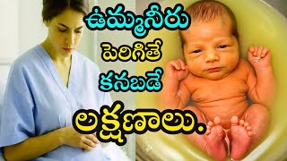 ఉమ్మనీరు పెరిగితే కనిపించే లక్షణాలు ?||Symptoms of increased amniotic fluid