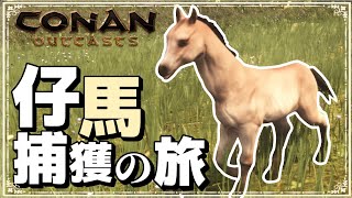 危険がいっぱい！！仔馬捕獲の旅＃10【コナンアウトキャスト/Conan Outcasts/コナンエグザイル/Conan Exiles/実況プレイ】