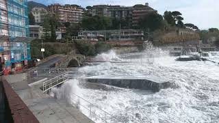 MAREGGIATA RAPALLO 2023