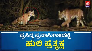 Kemmangundi | ಪ್ರಸಿದ್ಧ ಪ್ರವಾಸಿತಾಣದಲ್ಲಿ ಹುಲಿ ಪ್ರತ್ಯಕ್ಷ | News Malnad