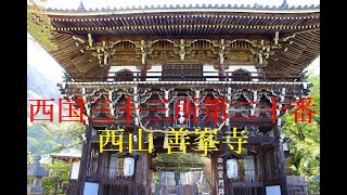 西国三十三所第20番札所 善峯寺