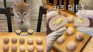 초간단 강아지 치즈미트볼 레시피 🧀 | 강아지 수제 간식 만들기 | 강아지 화식 | Homemade dog treats