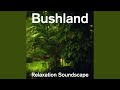 Bushland Relaxation Soundscape