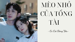 [Review Truyện] MÈO NHỎ CỦA TỔNG TÀI || CỦ CẢI ĐÁNG YÊU