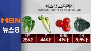 밥상물가 위협하는 폭염…농민들 \