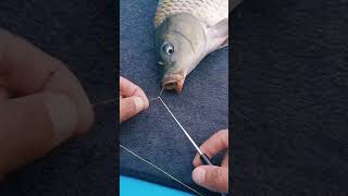 How To Easily Remove A Fish Hook