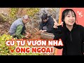 Câu chuyện Củ Từ trong Vườn nhà Ông Ngoại! | Tiểu Màn Thầu