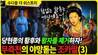 황후도 제거하고 황자들도 몽땅 죽이자! 야망의 후궁 무혜비, 당현종을 사로잡다!(당나라역사, 중국사, 무혜비, 당현종, 양귀비)