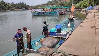 Views From a  Beautiful harbour in Kannur. Kerala.