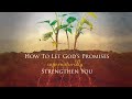 How to Let God's Promises Strengthen You - Bill Johnson | Strengthen Yourself in the Lord