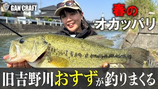 ガンクラフト  吠えるおすず‼春の旧吉野川でデカバス連発！