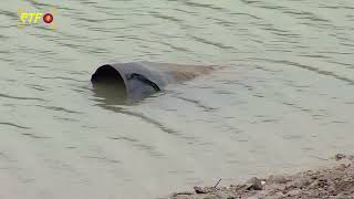 Schömberger Stausee mit weniger Wasser