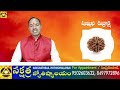 షణ్ముఖి రుద్రాక్ష ఫలితాలు shanmukhi rudraksha palithalu best astrologer nj