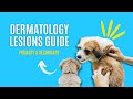 Your GUIDE To Primary/Secondary Dermatology Lesions