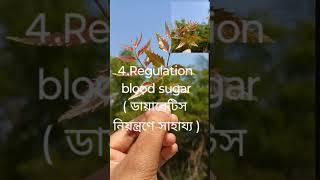 Benifits of Neem leaf// নিম পাতার উপকারিতা