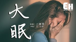 小樂哥 - 大眠（COVER 王心凌）『都快忘了怎樣戀一個愛...等夢完醒來再去收拾殘骸。』【動態歌詞Lyrics】