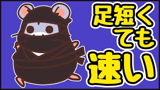 前世は忍者かもしれないハムスター【ハムスター4コマ動画】