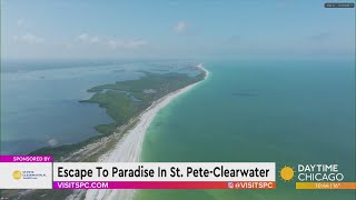 Escape To Paradise In St. Pete-Clearwater