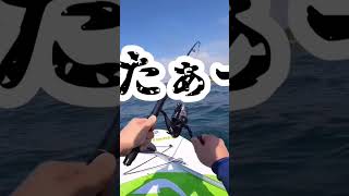 supで釣り　supfishing