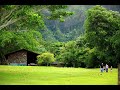 桐島　かれん～families 〜家庭の構造〜