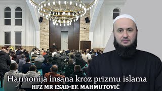 Harmonija insana kroz prizmu islama-hfz Esad-ef. Mahmutović