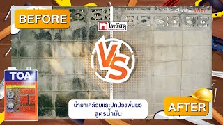 Thaiwatsadu Chemical Channel - น้ำยากำจัดเชื้อรา ตะไคร่น้ำ สูตรน้ำมัน