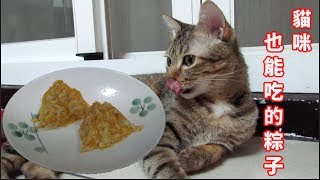 貓咪廚房 - 南瓜雞肉粽  貓咪也可以吃的端午節粽子   這才不是三角圓!!