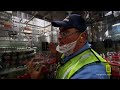 bottling bacardi ulitmate factories