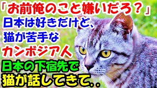 「お前俺のこと嫌いだろ？」日本は好きだけど、猫が.. 猫はどうしても苦手なカンボジア人が日本に来て猫と暮らさなければならないことに。すると猫が話しかけてきて..【猫の不思議な話】【朗読】