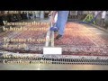 Cleaning A Silk Oriental rug | By the PetPeePee®