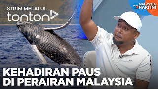 [CLIP] MHI (26 Dec 2024): Kehadiran Paus Di Perairan Malaysia | Tonton