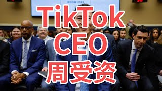 爆红全网的TikTok公司CEO周受资！新加坡商界精英