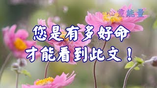 心靈能量【您是有多好命，才能看到此文！】