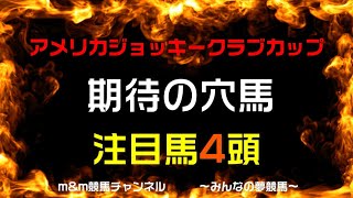 AJCC2023　競馬予想　期待の穴馬　軸は堅い