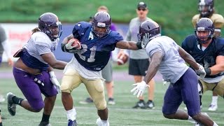 Position-by-Position Previews: Running Backs