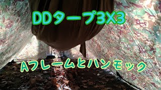 ソロキャンプ　シーズン1  雨予報の中DDタープとハンモックを持ってデイキャンプ