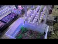 part 3 building the aquaponics so many things going wrong